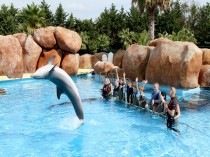 RENCONTRE DAUPHINS MARINELAND 3