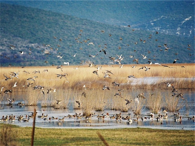 vransko jezero